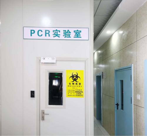 PCR实验室怎么防止污染