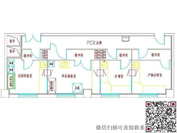 PCR实验室设计建设要求